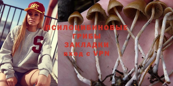 гидропоника Алексеевка