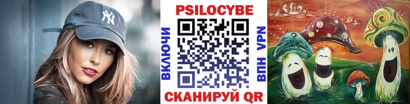 Купить где  Кирово-Чепецк  Галлюциногенные грибы MAGIC MUSHROOMS 